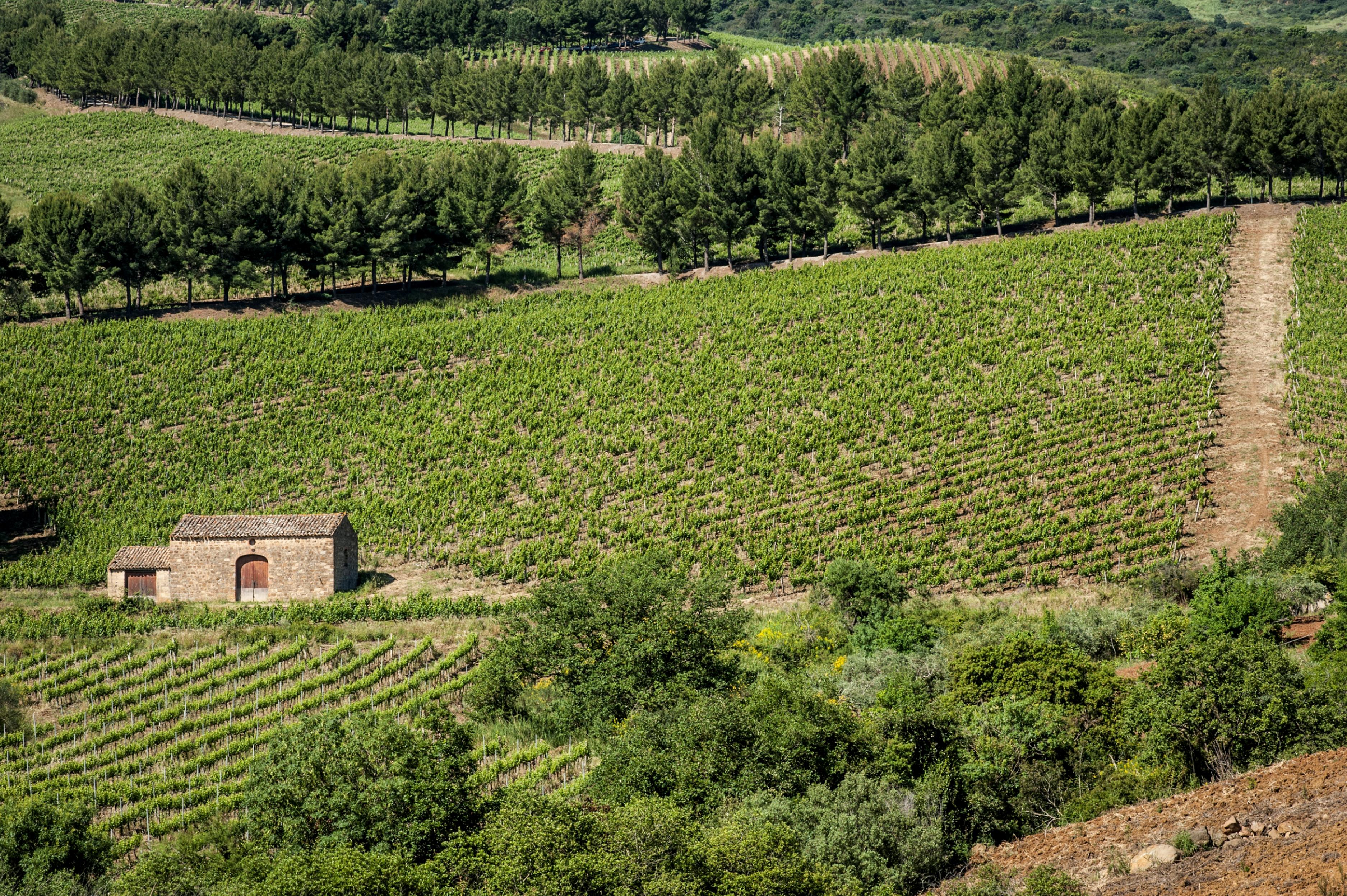 Relais Abbazia Santa Anastasia Resort & Winery Castelbuono  Luaran gambar